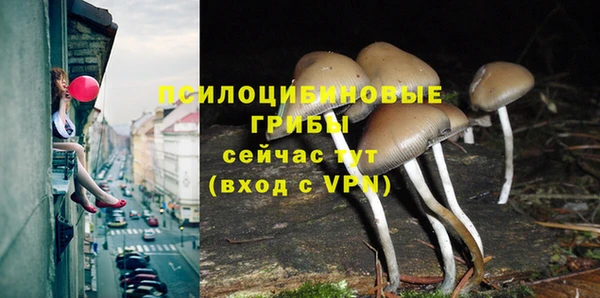 альфа пвп Сясьстрой